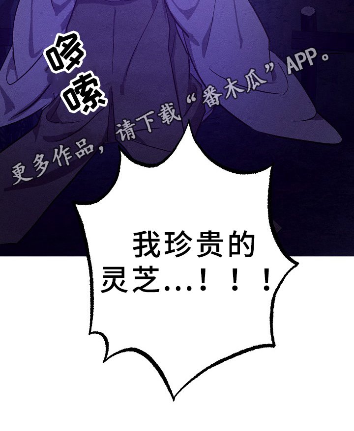 第31章：劝告