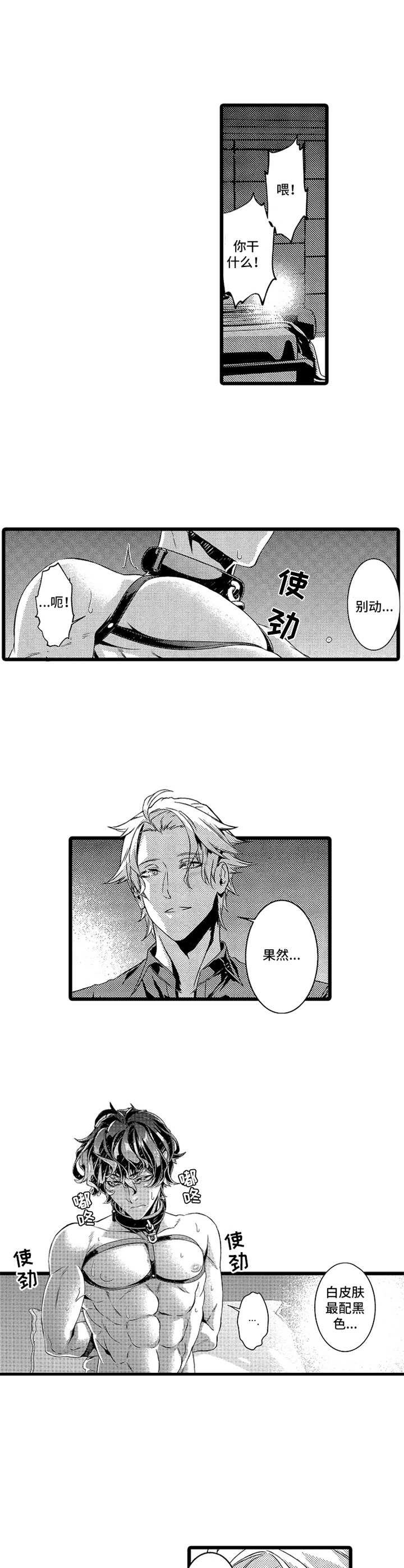 第12章：后续