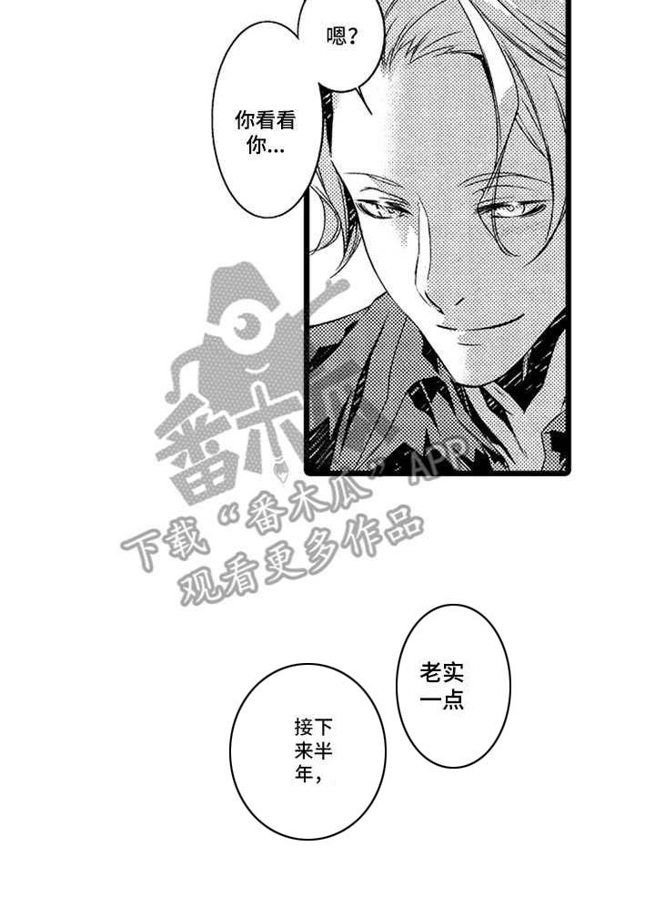 第12章：后续