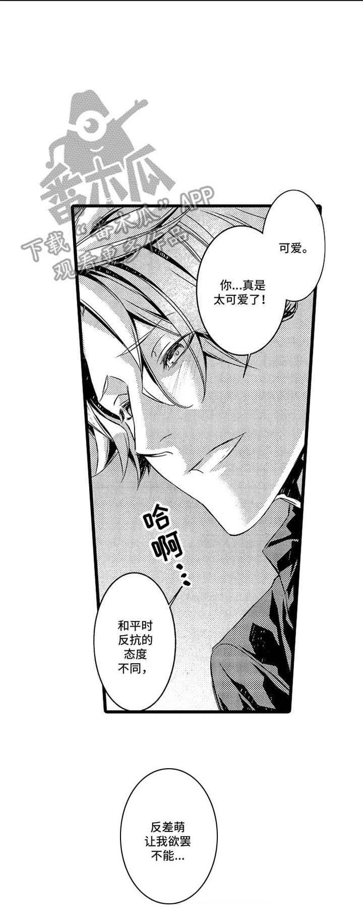 第12章：后续
