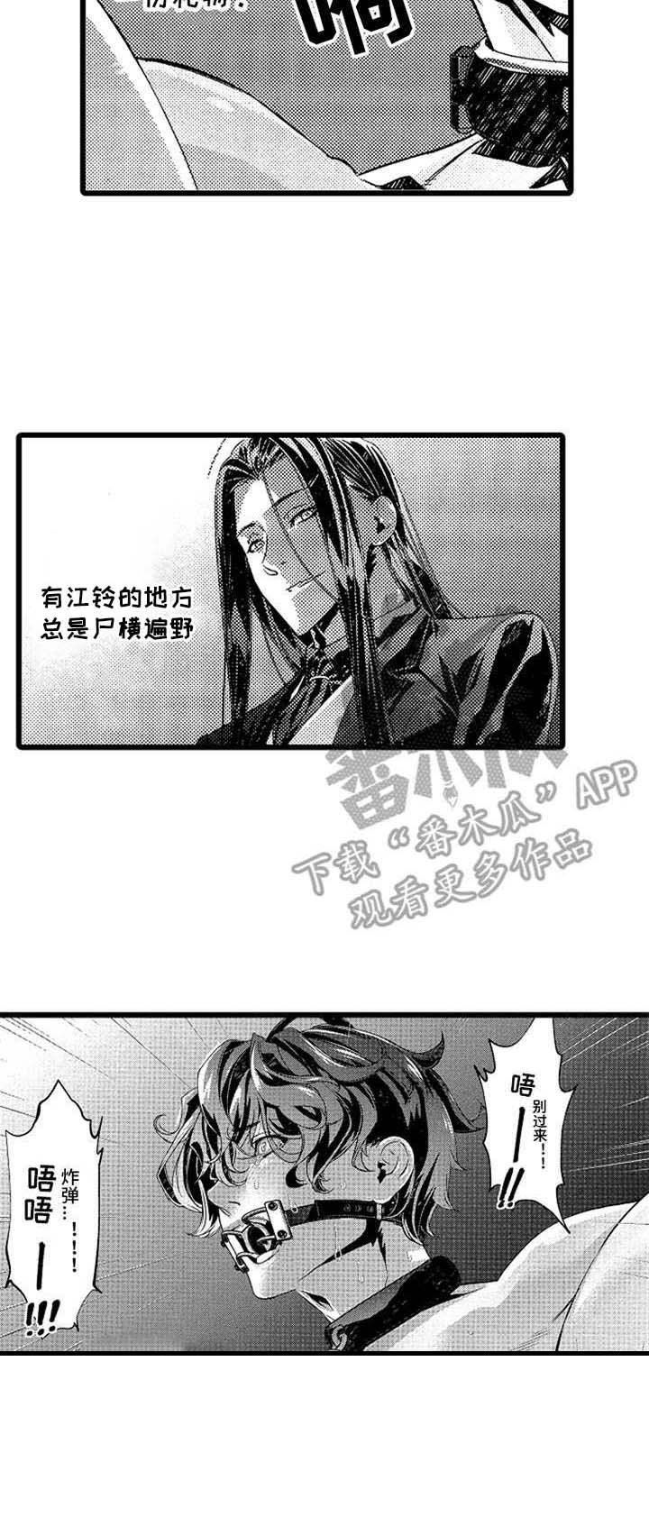 第17章：炸弹
