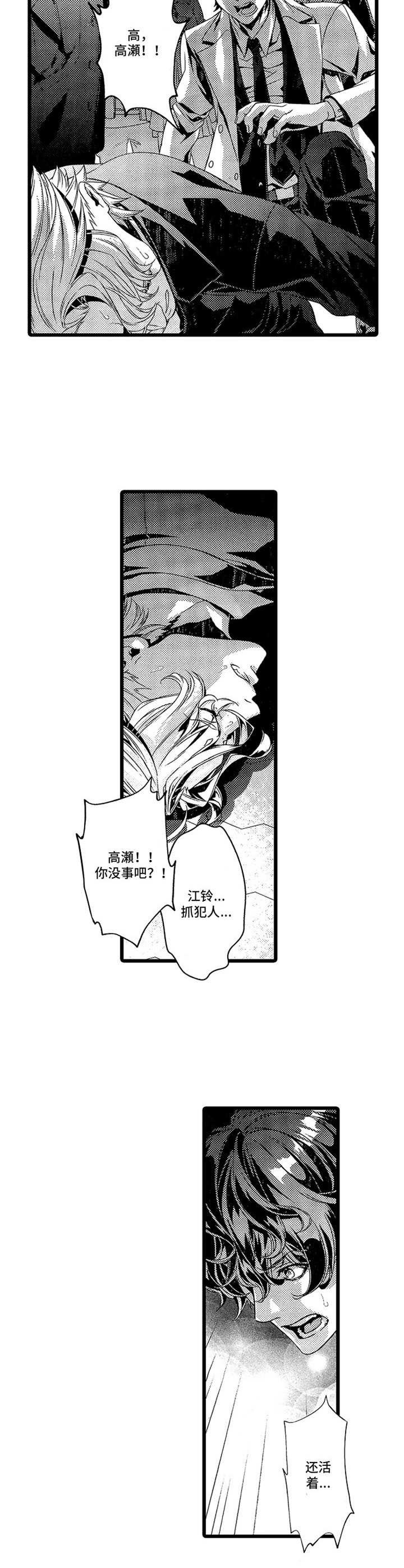 第8章： 枪战