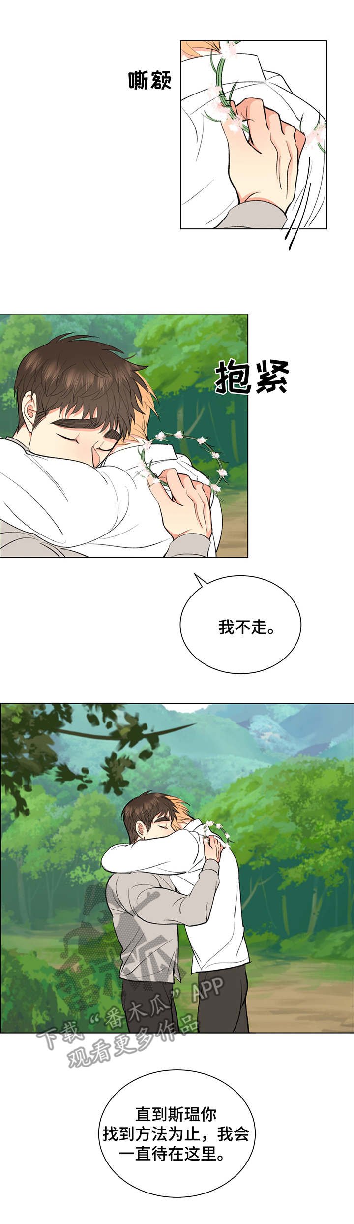 第10章：花环
