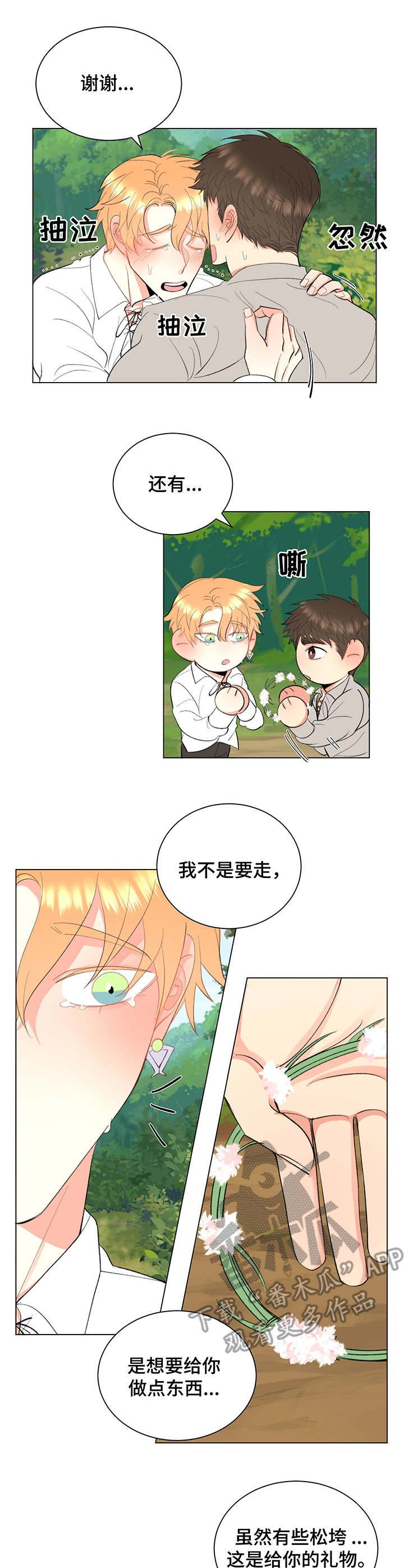第10章：花环