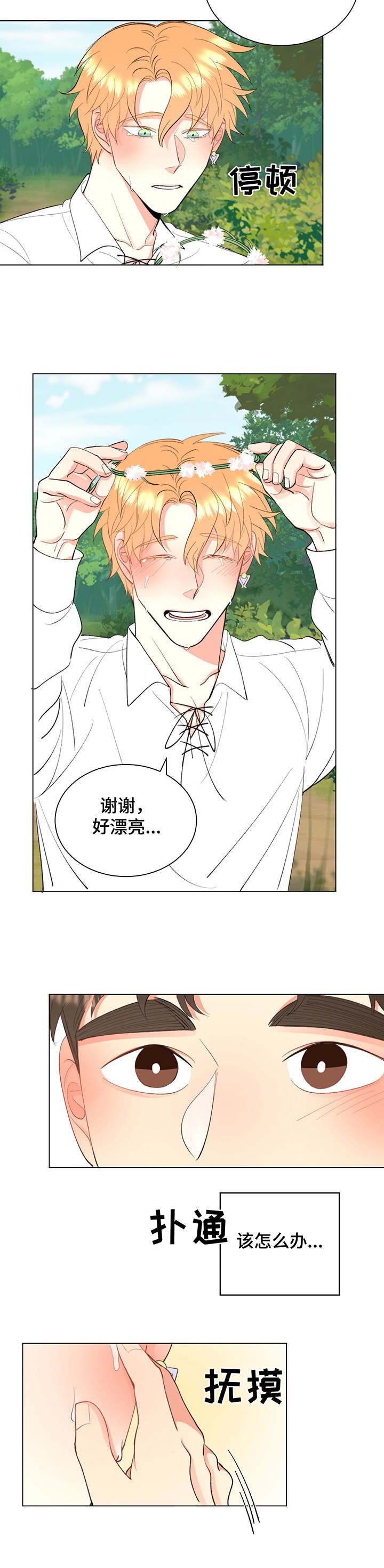 第10章：花环