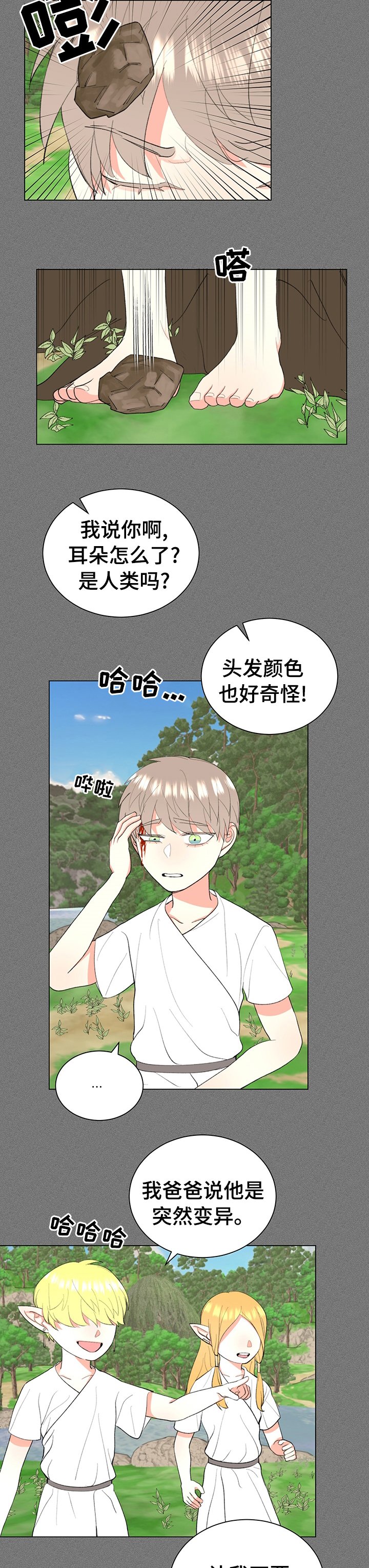 第17章：变异精灵