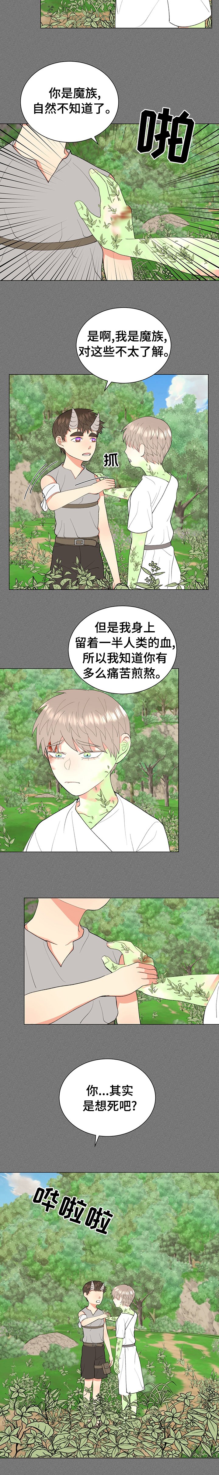 第17章：变异精灵
