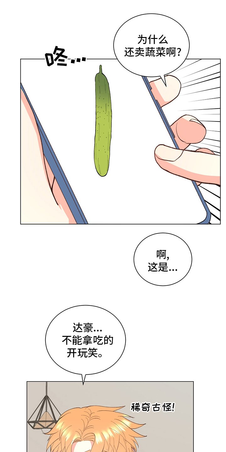 第33章：【番外】玩具