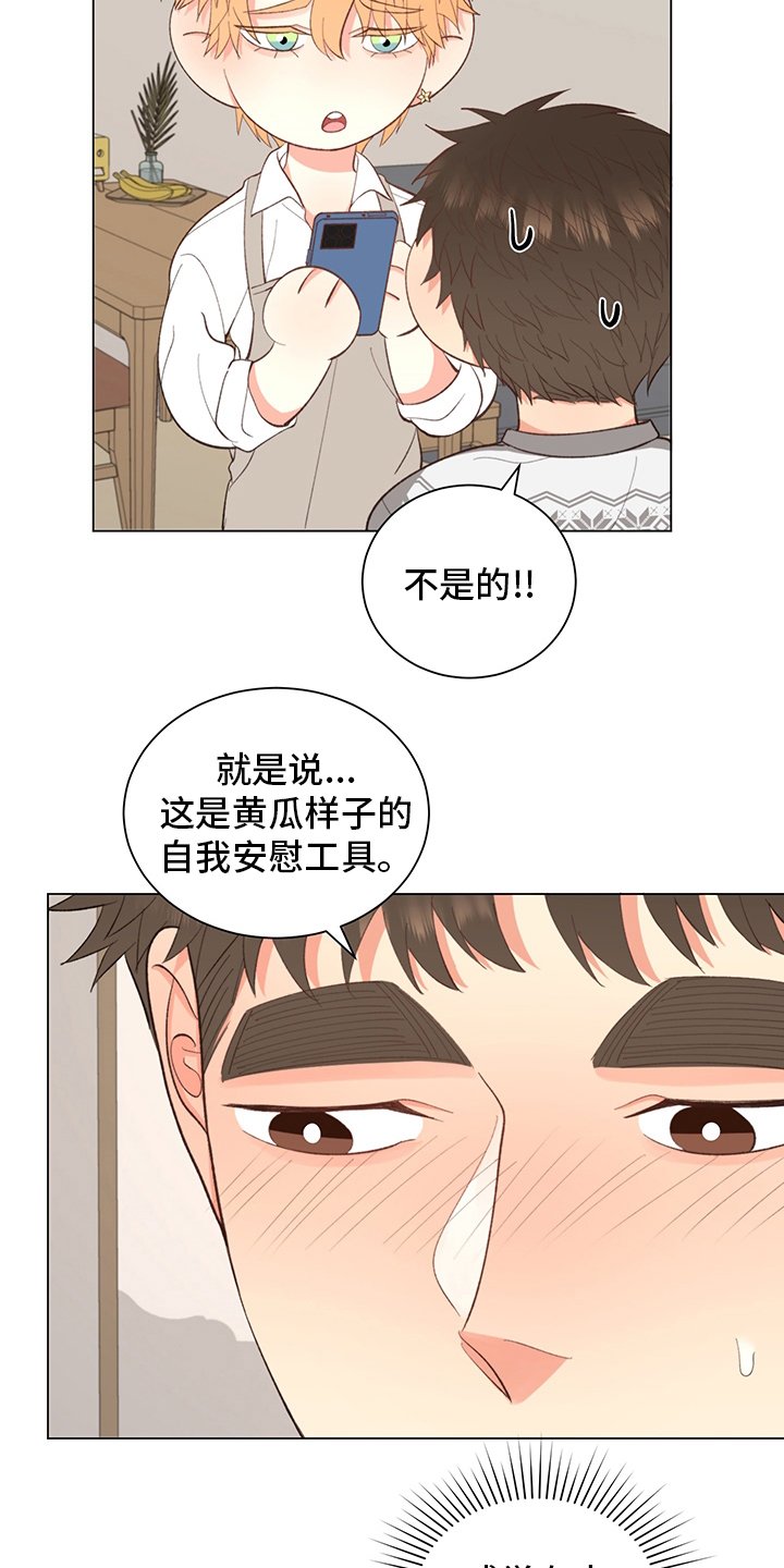 第33章：【番外】玩具