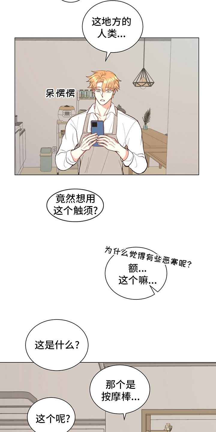 第33章：【番外】玩具