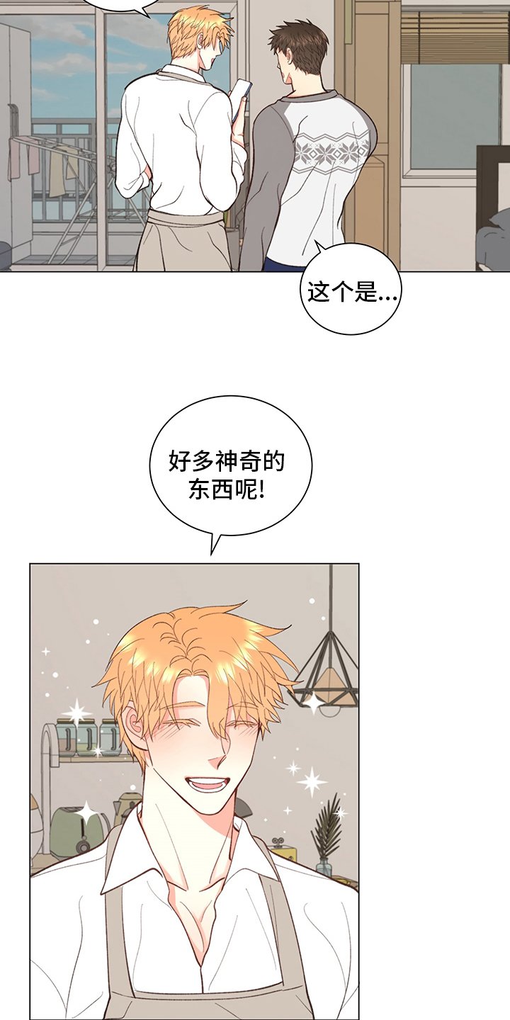 第33章：【番外】玩具