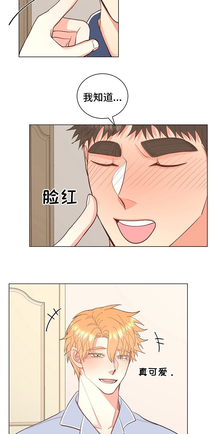 第33章：【番外】玩具