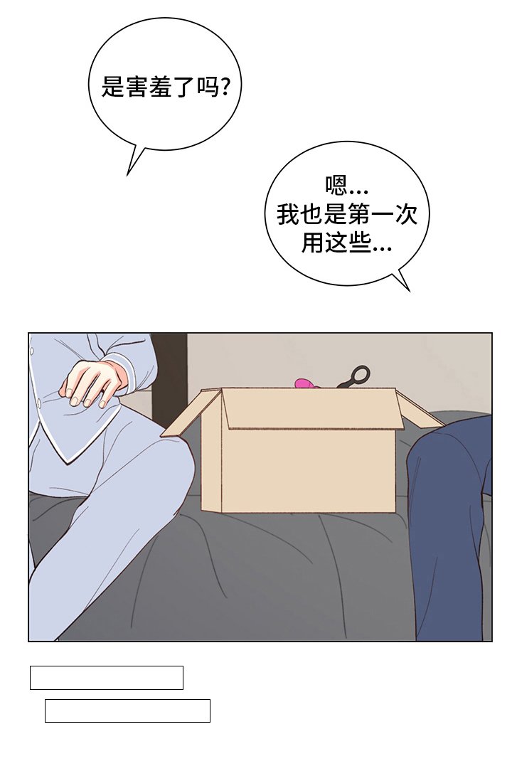 第33章：【番外】玩具