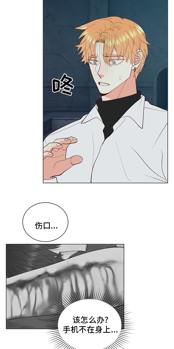 第35章：【番外】紫色瞳孔