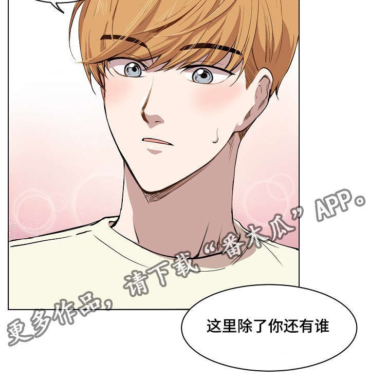 第10章：犯傻的表情