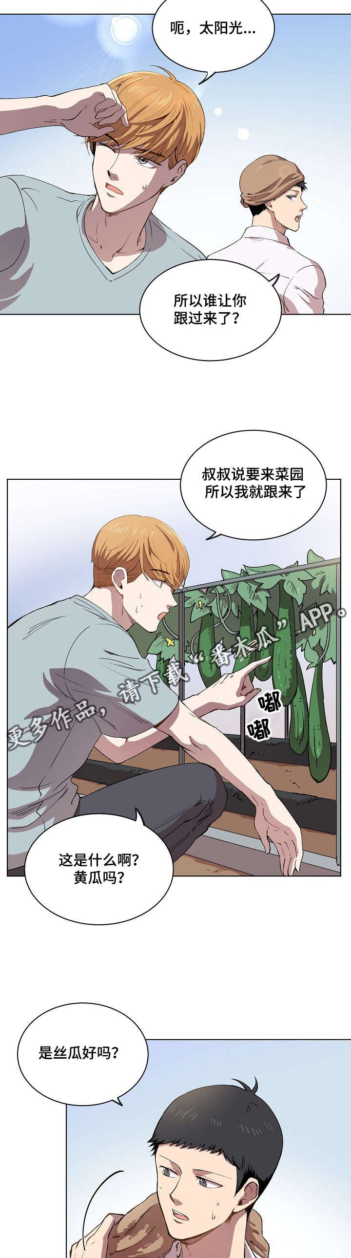 第12章：你就像是发着光的萤火虫