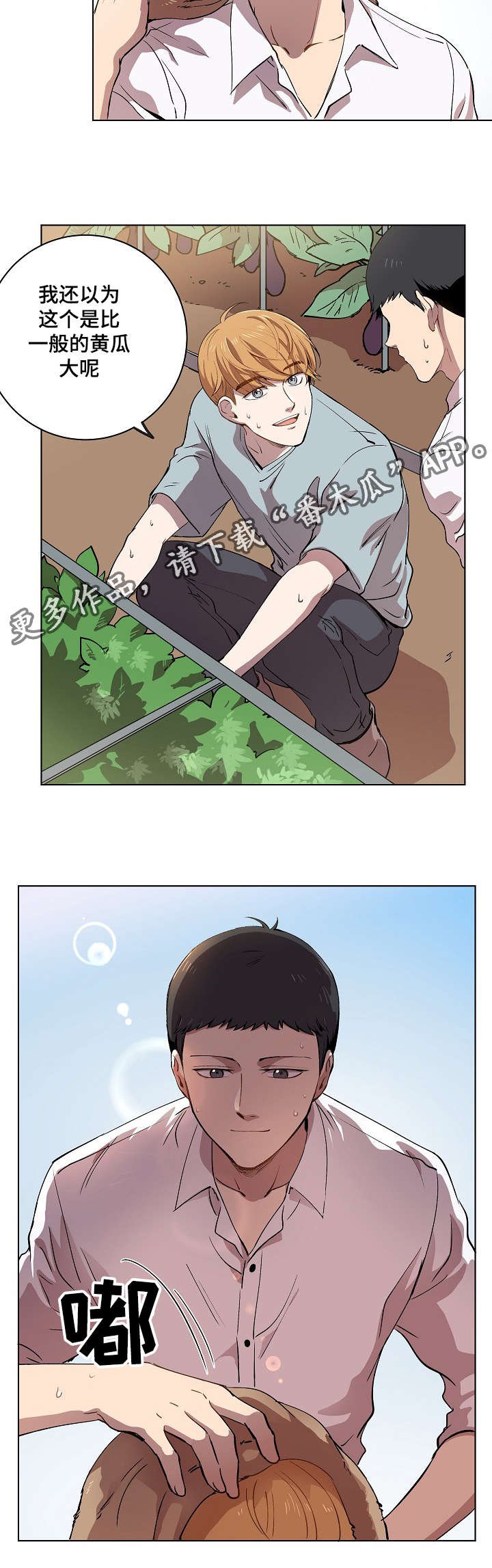 第12章：你就像是发着光的萤火虫