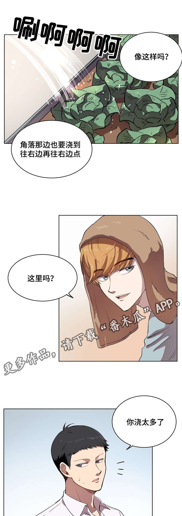 第12章：你就像是发着光的萤火虫