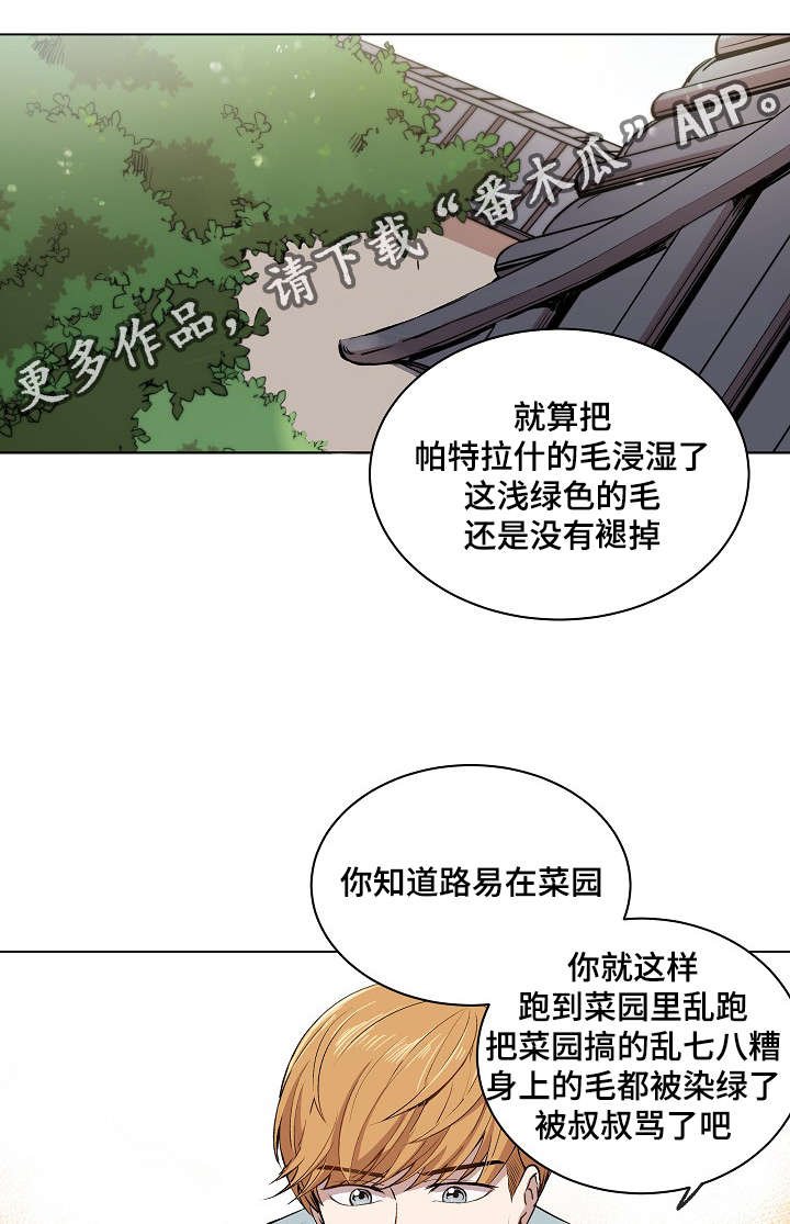 第13章：一起看雨景