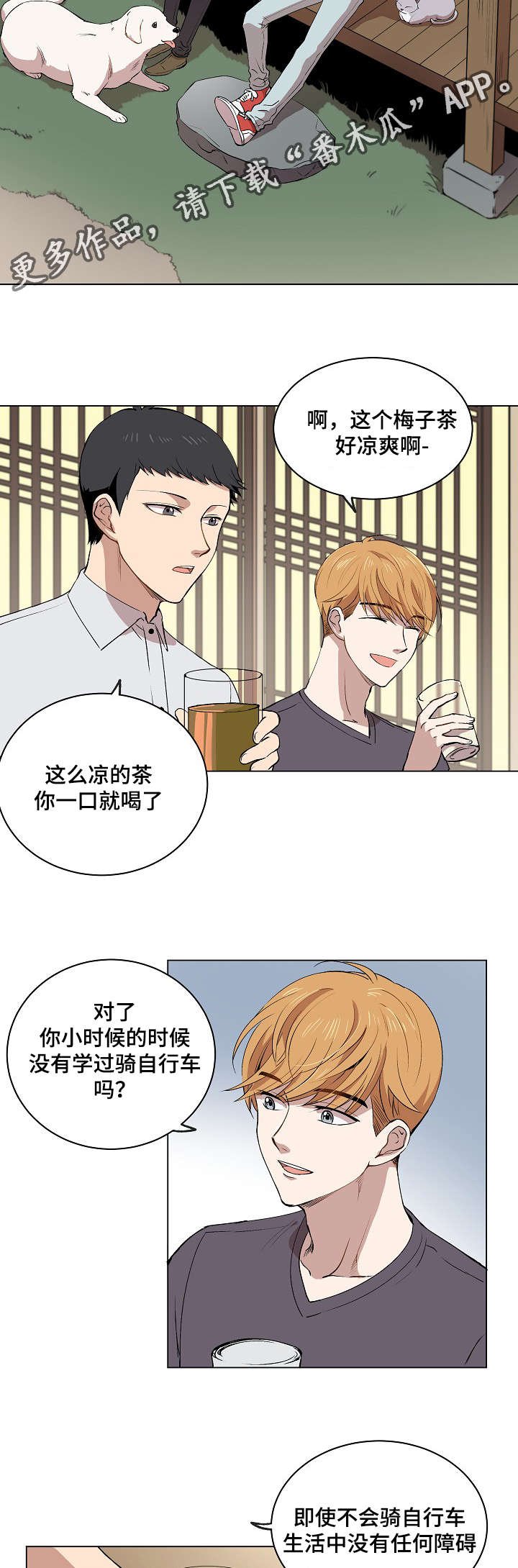 第15章：身体的记忆