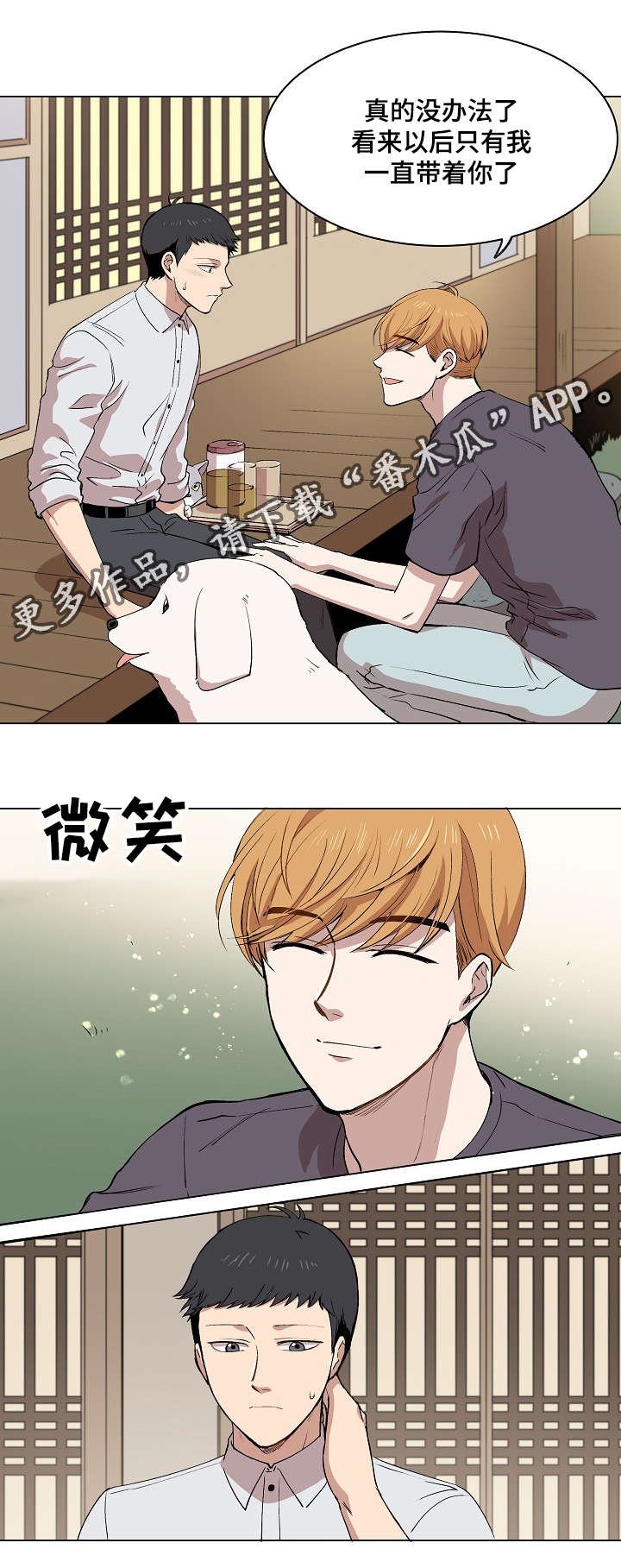 第15章：身体的记忆