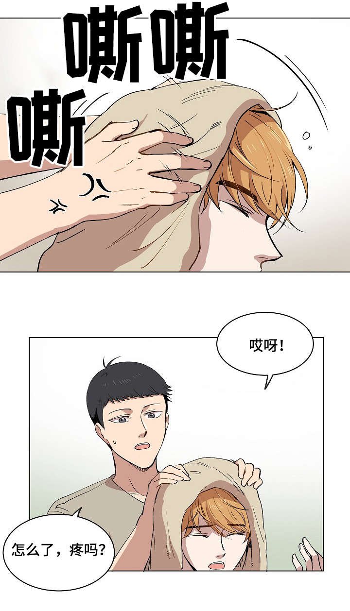 第15章：身体的记忆