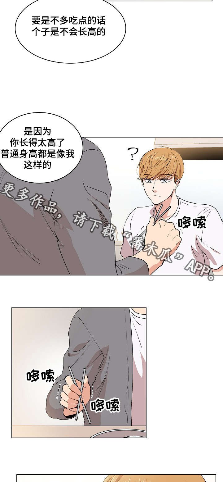 第16章：伪装