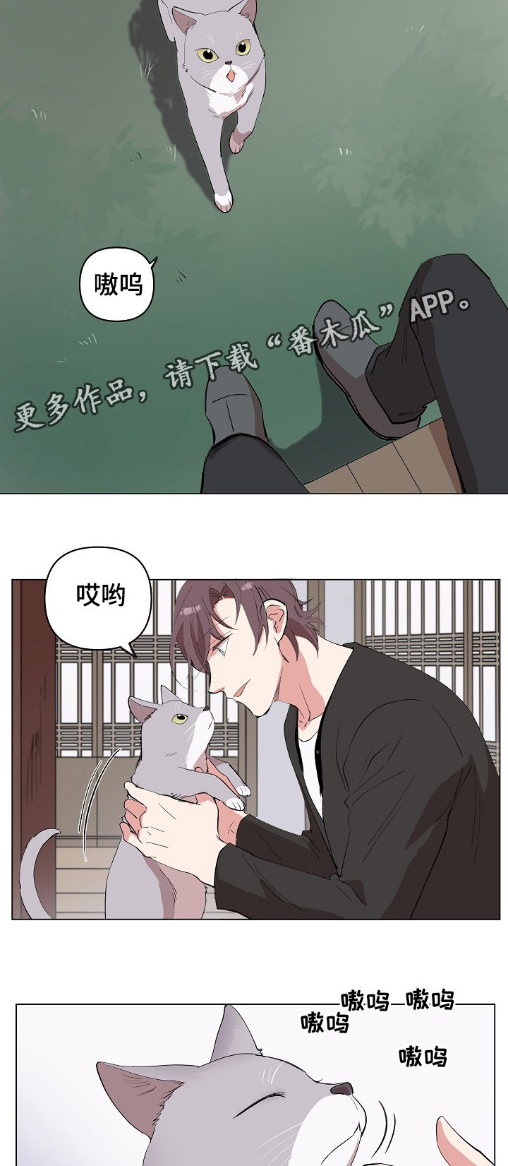 第20章：该来了