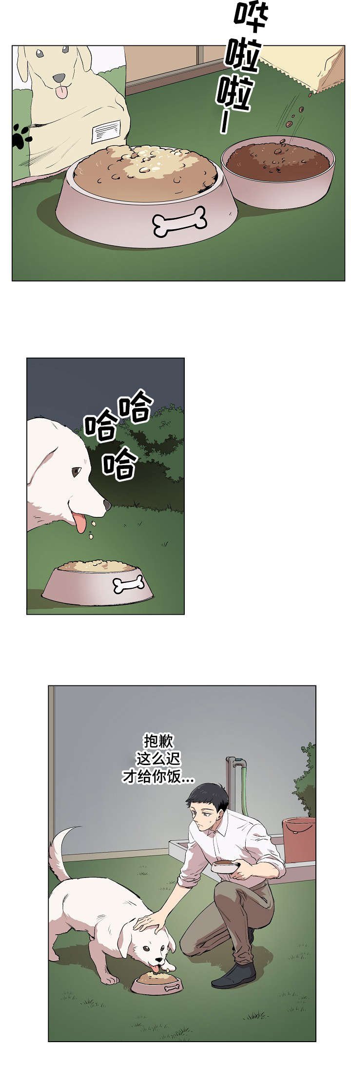 第3章：帕特拉什