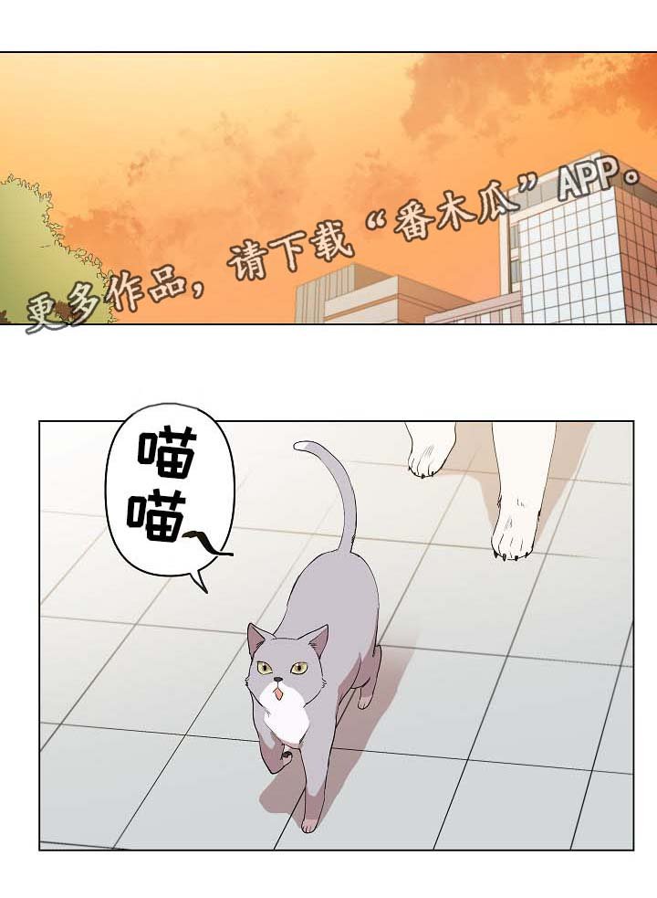第30章：秀恩爱
