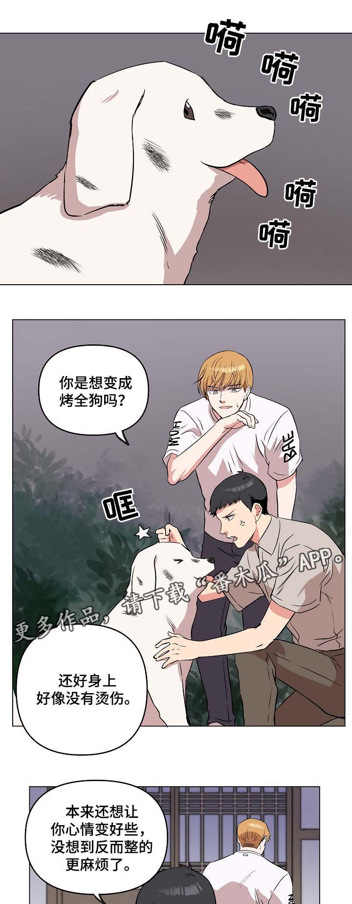 第42章：午后风景