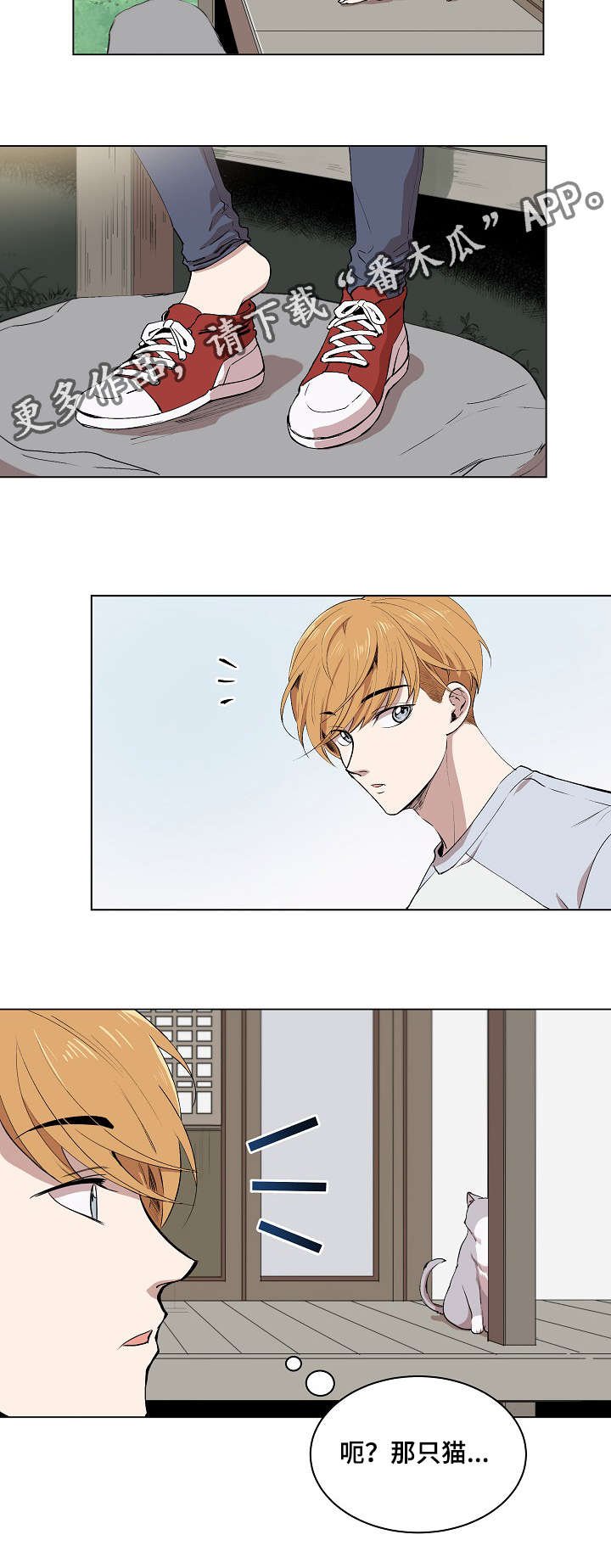 第5章：简直就是花美男