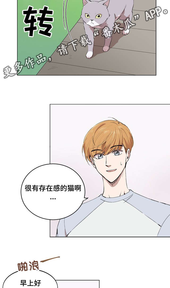 第5章：简直就是花美男