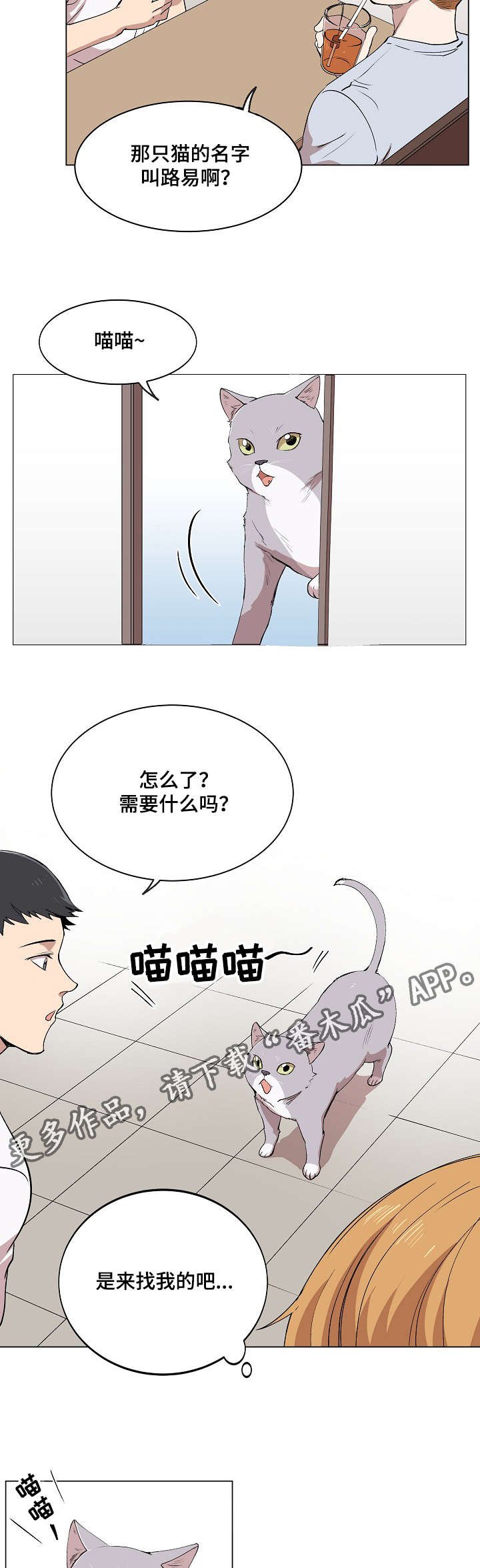 第5章：简直就是花美男