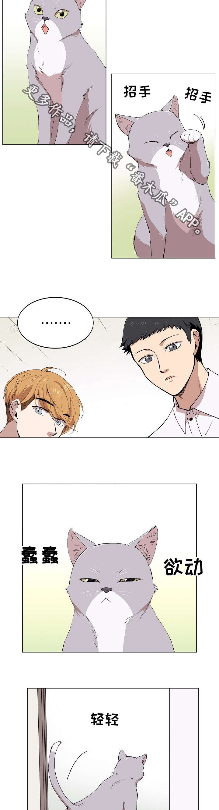 第5章：简直就是花美男