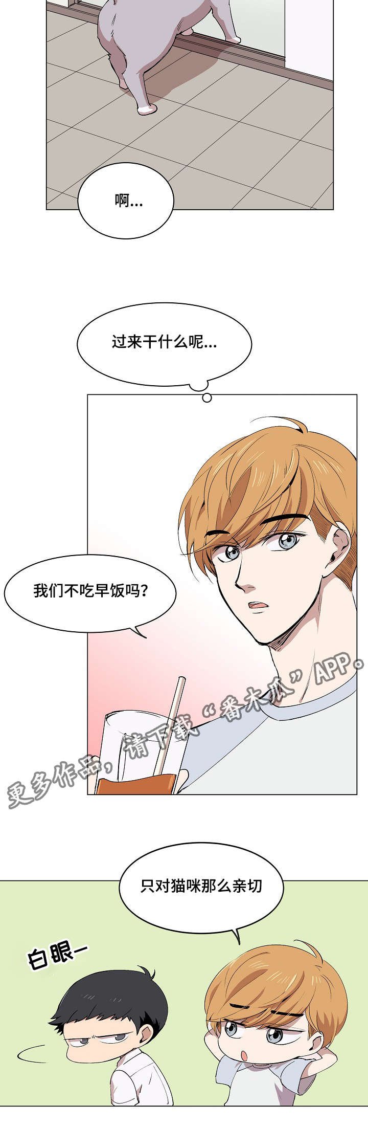 第5章：简直就是花美男