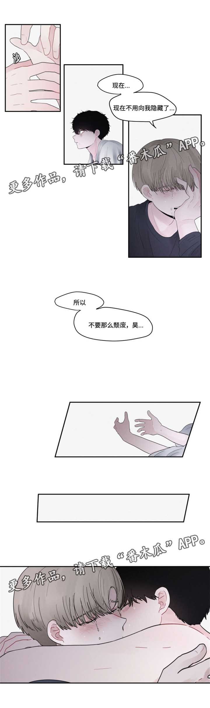 第36章：理解