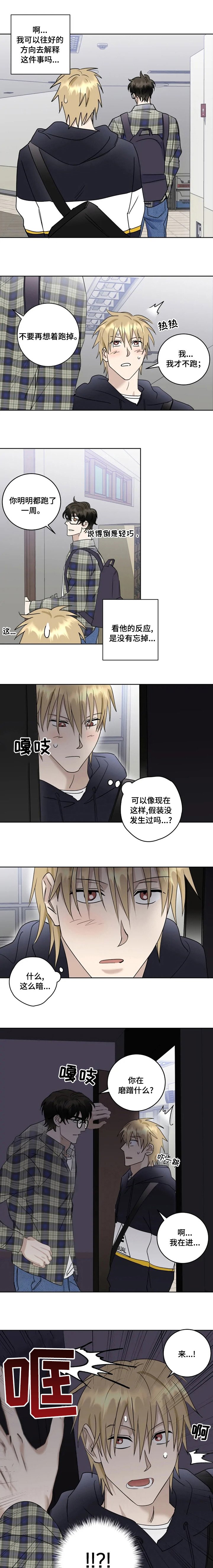 第30章：自己选择