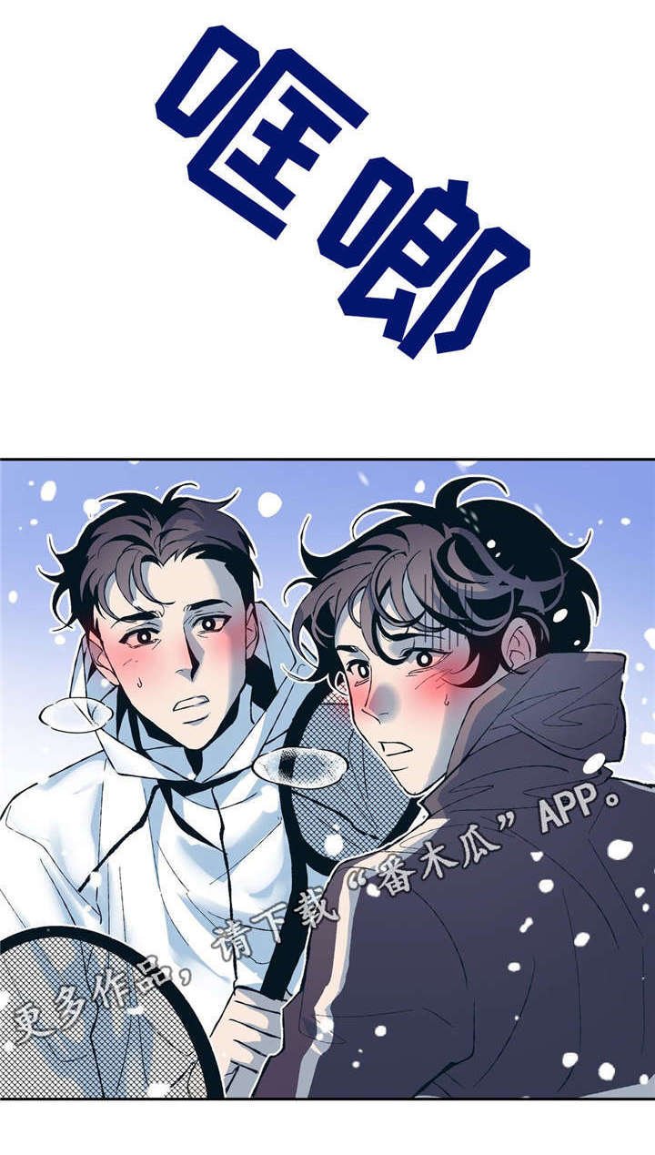 第13章：SNS