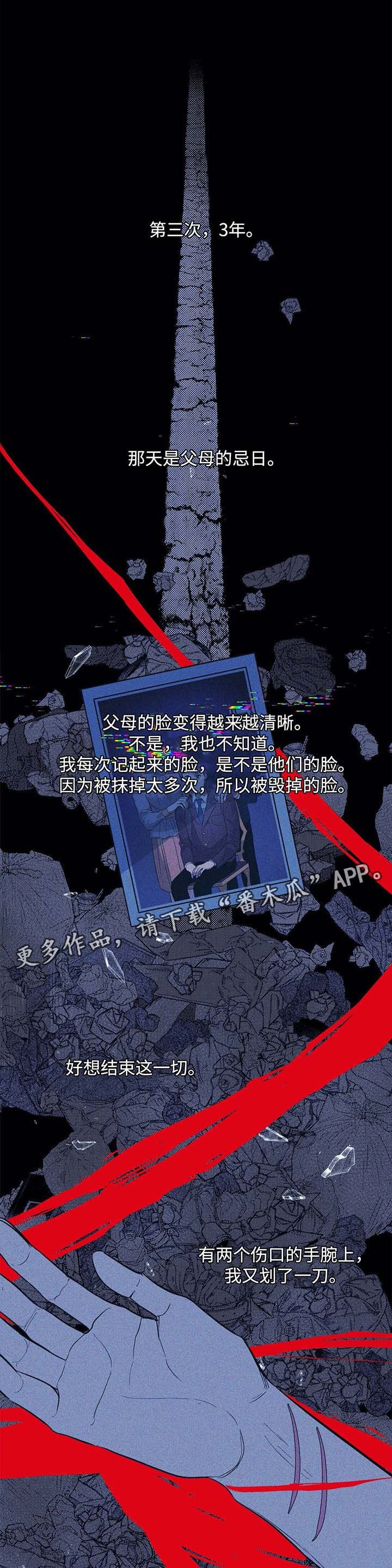 第41章：黑暗中前行