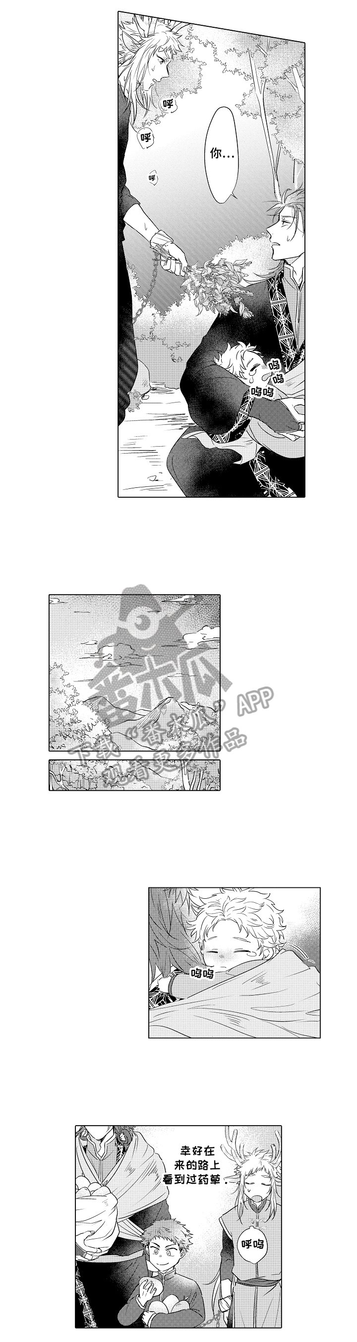 第12章：采药