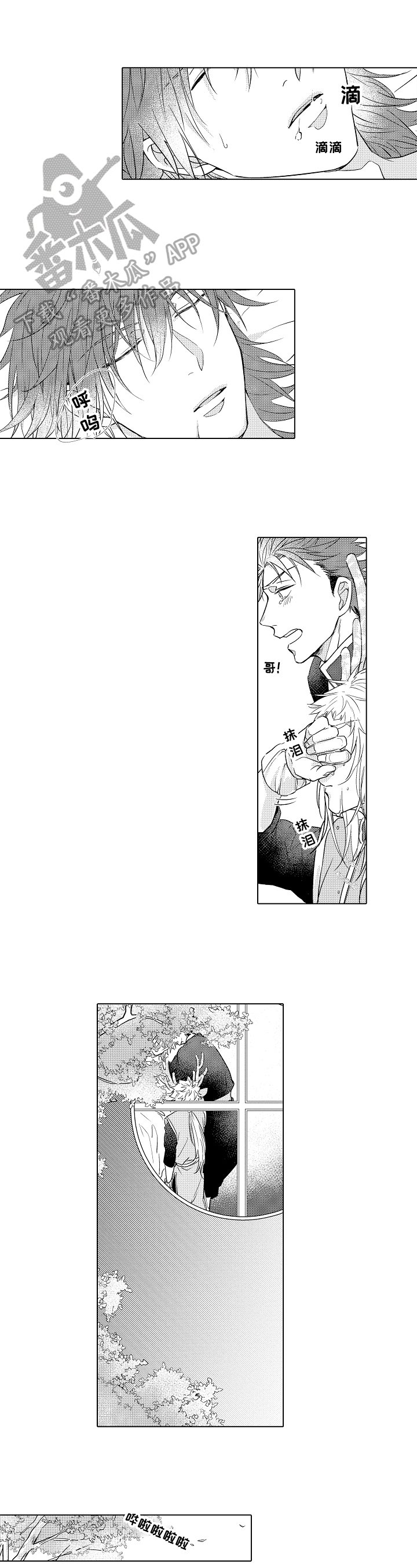 第14章：观察