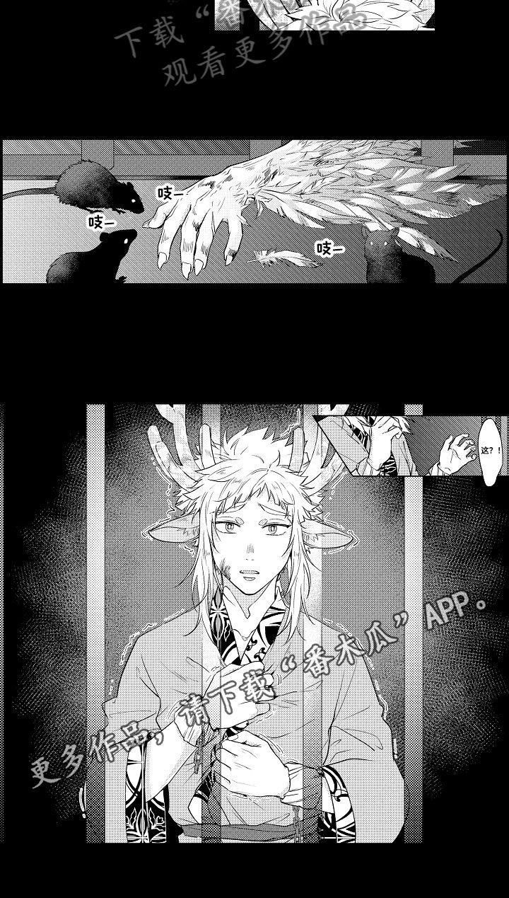 第18章：不舍