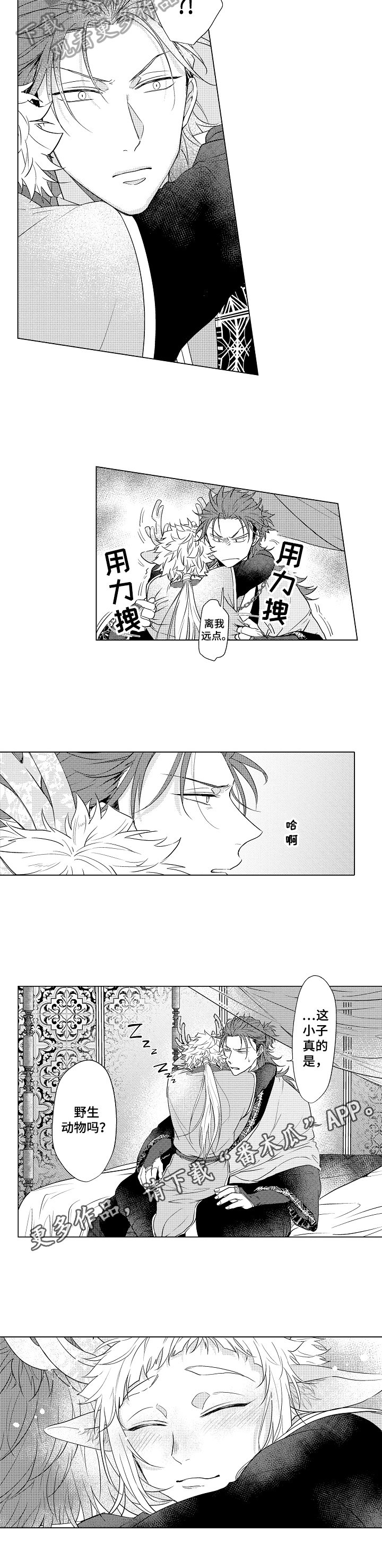 第9章：睡眠