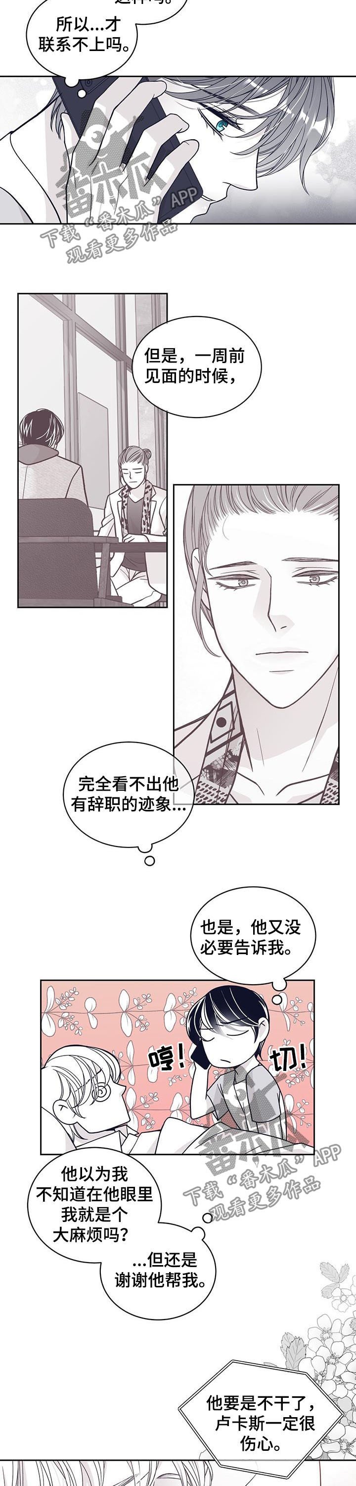 第114章：特别喜欢你
