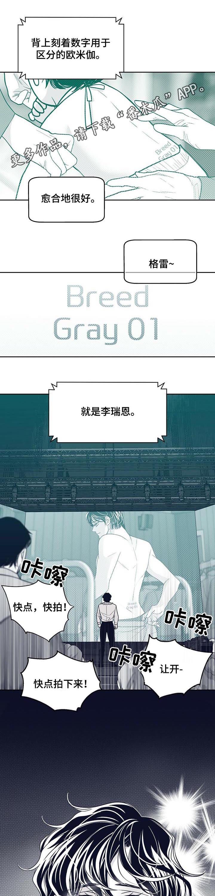 第123章：硬闯