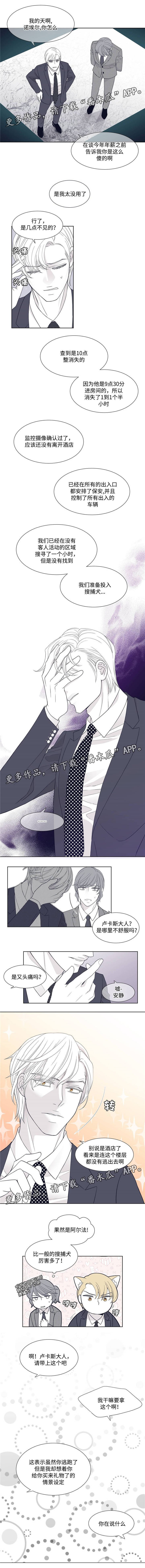 第13章：逃跑