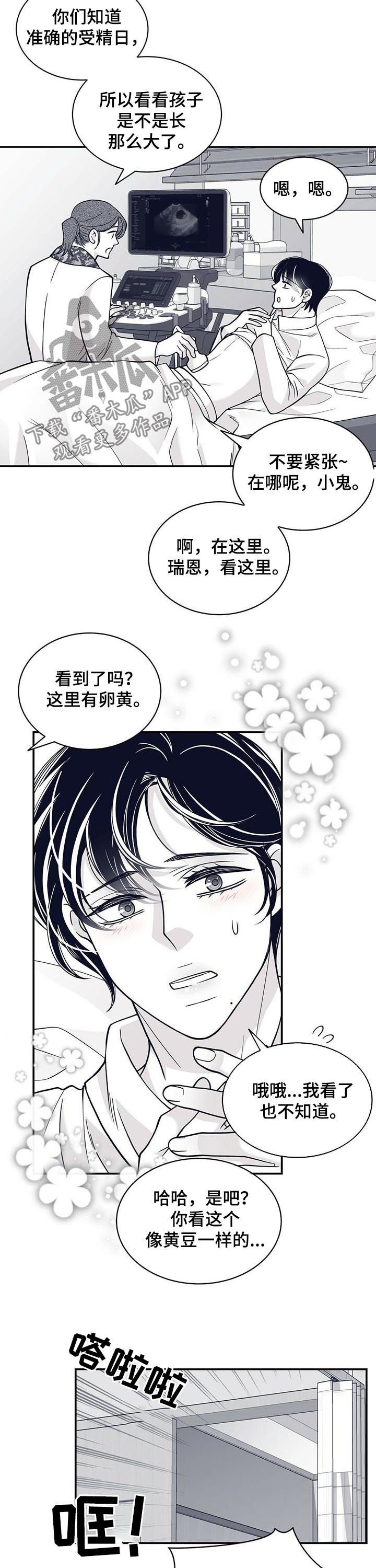 第146章：腹部检查