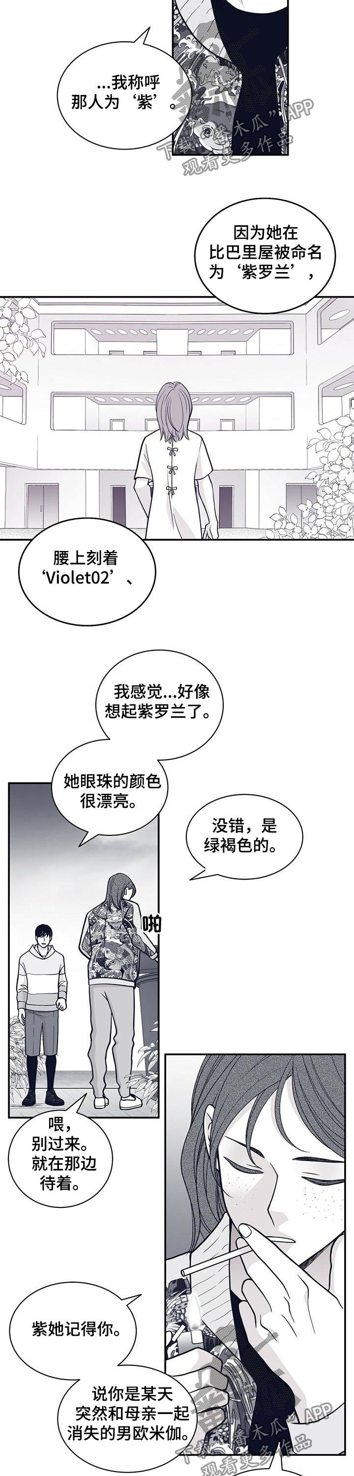 第152章：紫