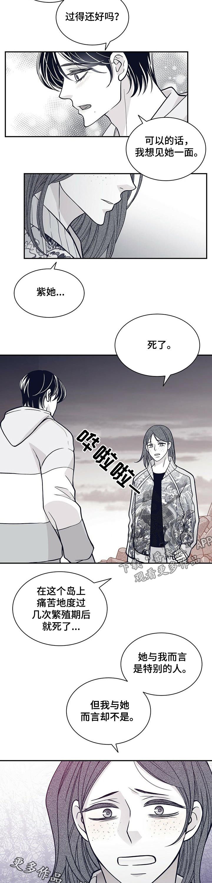 第152章：紫